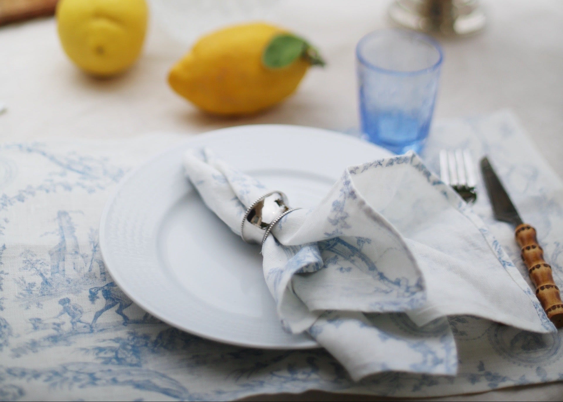 Explore the Toile du Joy collection